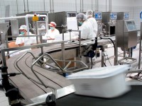 Praca Niemcy – pakowanie i produkcja lodów w fabryce