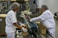 Praca przy pakowaniu w Holandii na produkcji cukierków