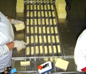 Oferta pracy w Holandii na produkcji spożywczej bez języka Zeewolde